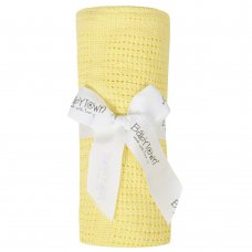 19C189L: Baby Gift Soft Handle Lemon Cellular Blanket