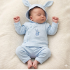 BIS-2020-2556: Baby Boys 2 Pieces Set with Hood - Bunny (NB-6 Months)