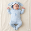 BIS-2020-2557: Baby Boys All in One with Hood - Bunny (NB-6 Months)