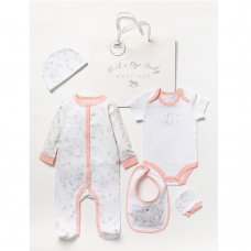 C04421: Baby Girls Precious Little One 6 Piece Mesh Bag Gift Set (NB-6 Months)