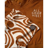 F09111TOD: Boys Terry Towelling Hooded Top & Shorts Outfit (2-4 Years)