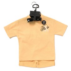 F09394TOD: Boys Waffle Fabric T-Shirt & Short Outfit With Sunglasses (2-4 Years)