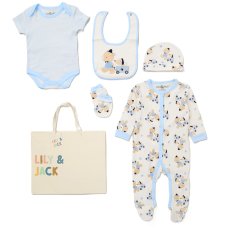 F09894NB: Baby Boys Bear & Puppy 6 Piece Mesh Bag Gift Set (NB-6 Months)