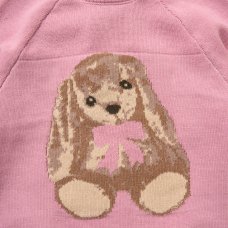 G11392NB: Baby Girls Knitted 2 Piece Outfit (0-12 Months)