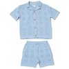 H13770TOD: Boys True Knit Shirt & Shorts Outfit (2-4 Years)