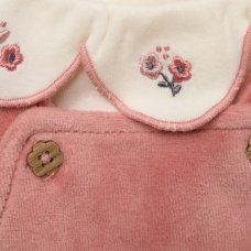 J15820: Baby Girls Velour Dungaree & Bodysuit With Embroidered Collar Outfit (3-9 Months)