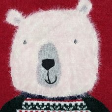 NX756: Kids Christmas Bear Jumper (1-7 Years, SEE DESC)