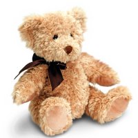 SB5428: 20cm Sherwood Bear