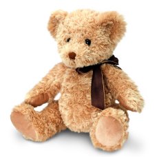 SB5429: 25cm Sherwood Bear