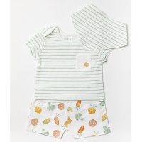 W22919: Baby Unisex Organic Cotton T-Shirt, Short & Bib Outfit (0-18 Months)