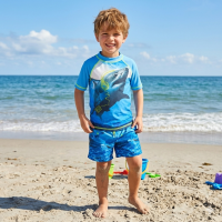 DX305: Kids Shark 2 Piece Swim Set (2-11 Years)