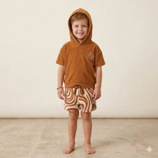 F09111TOD: Boys Terry Towelling Hooded Top & Shorts Outfit (2-4 Years)
