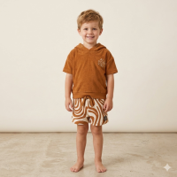 F09111TOD: Boys Terry Towelling Hooded Top & Shorts Outfit (2-4 Years)