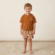 F09111TOD: Boys Terry Towelling Hooded Top & Shorts Outfit (2-4 Years)