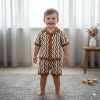 F09788TOD: Boys True Knit Shirt & Shorts Outfit (2-4 Years)