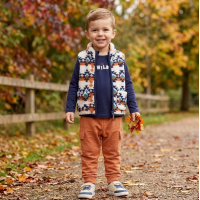 G11741TOD: Boys Borg Printed Gilet, Top & Jog Pant Outfit (2-4 Years)