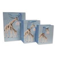Gift Bags (13)