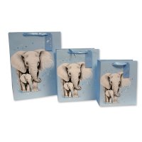 Gift Bags (13)
