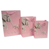 Gift Bags (13)