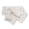 BW-0503-0528S: 2 Pack Muslin Squares In A Gift Bag- Sky