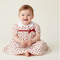 K34212: Baby Girls Lined Dress With Embroidery Detail  (1-2 Years)