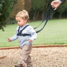 Walking Harness with Reins