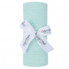 19C189M: Baby Gift Soft Handle Mint Cellular Blanket