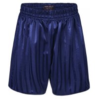 Mens/Older Boys Shadow Stripe Shorts - Navy