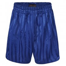 Mens/Older Boys Shadow Stripe Shorts - Royal