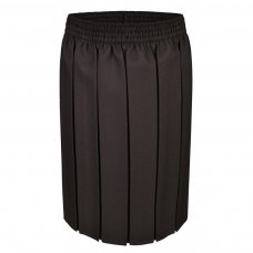 Girls School Box Pleated Skirt - Brown