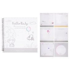 FS605: Baby Record Book