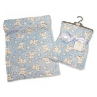 BW-112-967S: Baby Blue Teddy Wrap